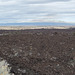 Lava Beds Natl Mon Devils Homestead Flow, CA (1020)