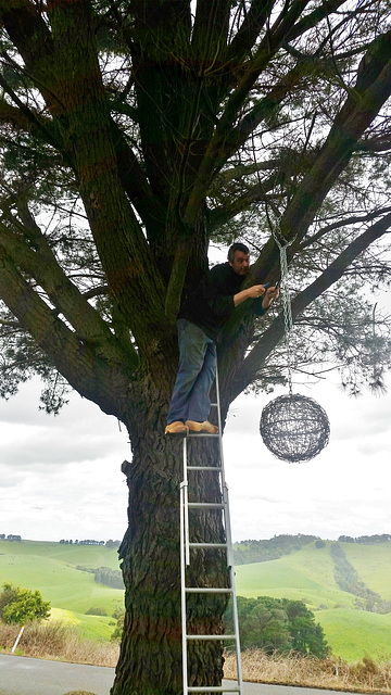 installing some garden art