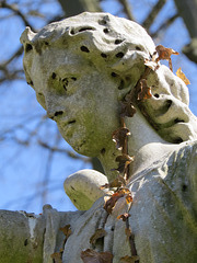 lavender hill cemetery, enfield, london