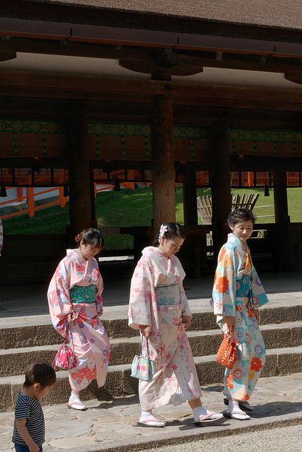 Sanctuaire Kasuga-taisha (春日大社) (15)