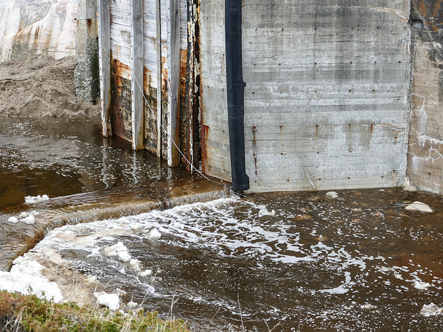 Day 10, tide overflowing dry dock gate