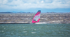 Windsurfer.9jpg