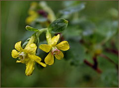 Holding up against the rains