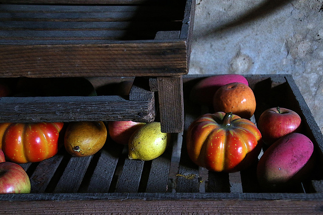 Anciennes clayettes en bois