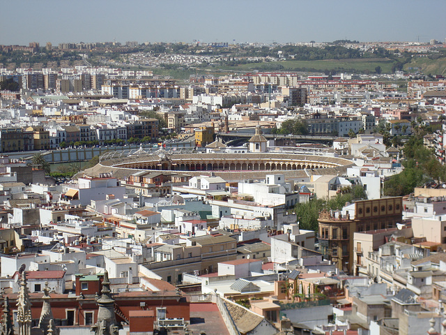 Auf der Giralda