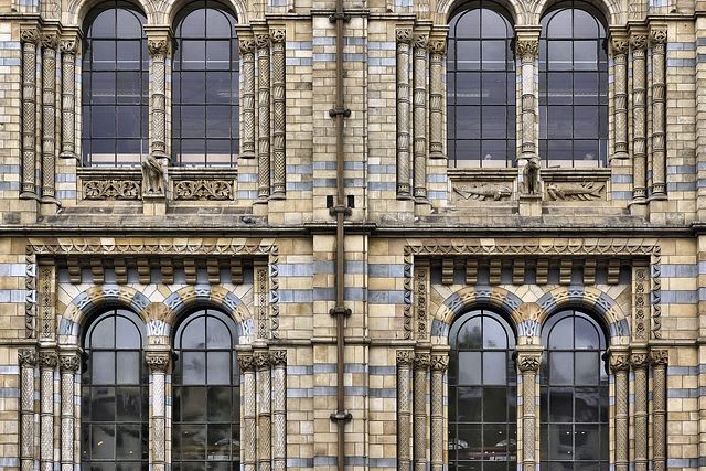 Windows into the Past – Natural History Museum, South Kensington, London, England