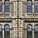 Windows into the Past – Natural History Museum, South Kensington, London, England