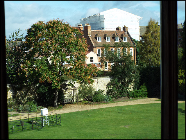 Green Templeton lawn