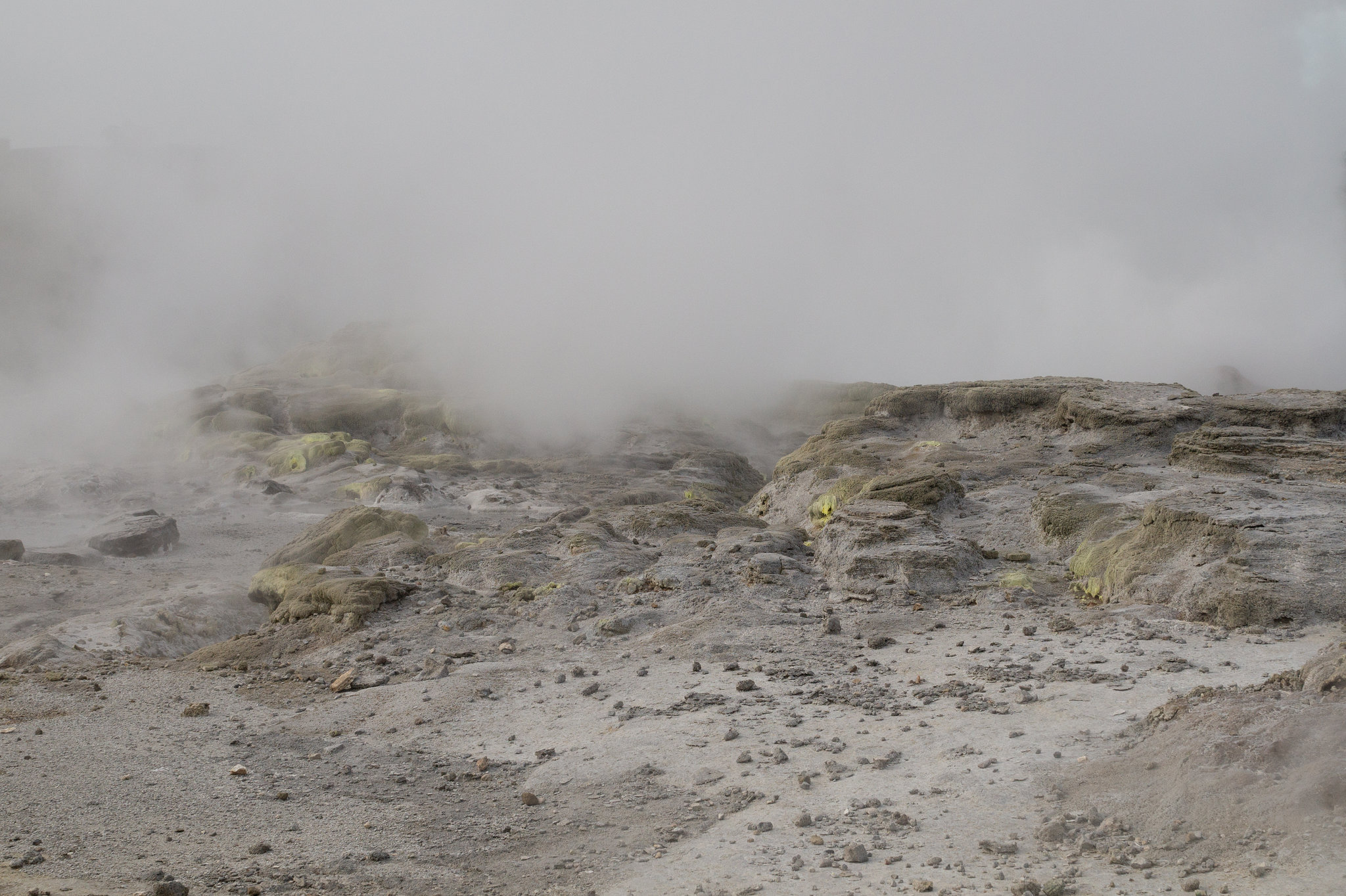 Neuseeland - Rotorua - Te Puia