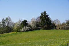 Spaziergang im April