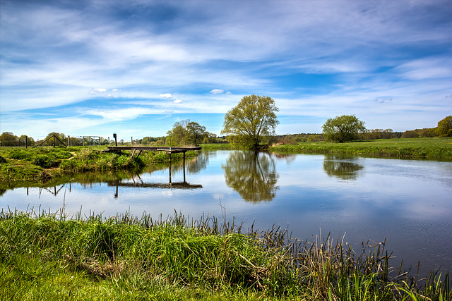 2023-05.01. Bockelskamp, die Aller Einmündung Wienhäuser Mühlenkanal