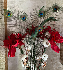 Peacock feathers