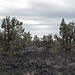 Lava Beds Natl Mon Devils Homestead Flow, CA (1023)