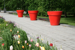 Red Flower Pots In Quebec