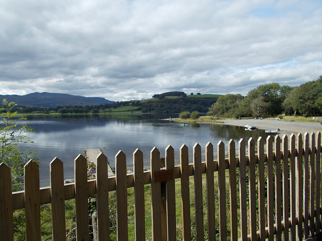 bal - Llyn Tegid