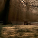 HBM~ The bench in the mist