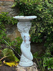 The Wee Free Religious Police for the upholding of morality and the repression of lasciviousness have clearly been at work  in this garden!