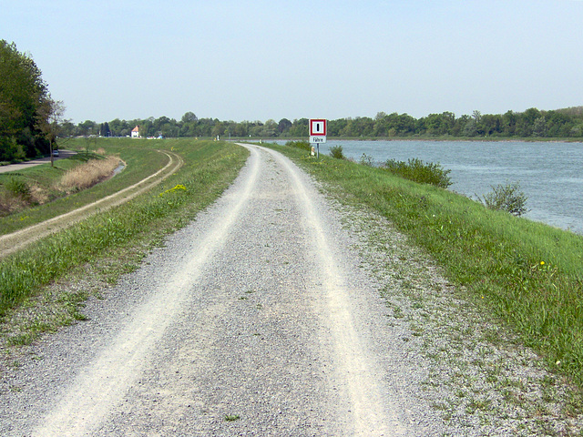 Auf dem Rheindamm bei Greffern