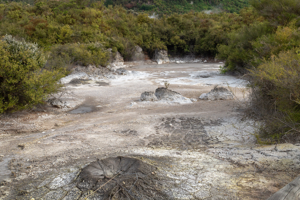 Neuseeland - Rotorua - Te Puia