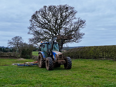 Harrowing the field