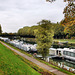 Unterwasser der alten Schachtschleuse (Schleusenpark Waltrop) / 17.10.2024 Unterwasser der alten Schachtschleuse (Schleusenpark Waltrop) / 17.10.2024