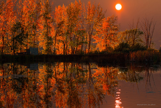 Couché de soleil