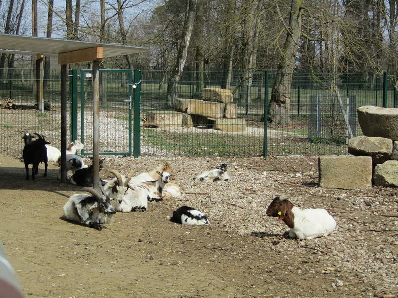 Mittagsruhe