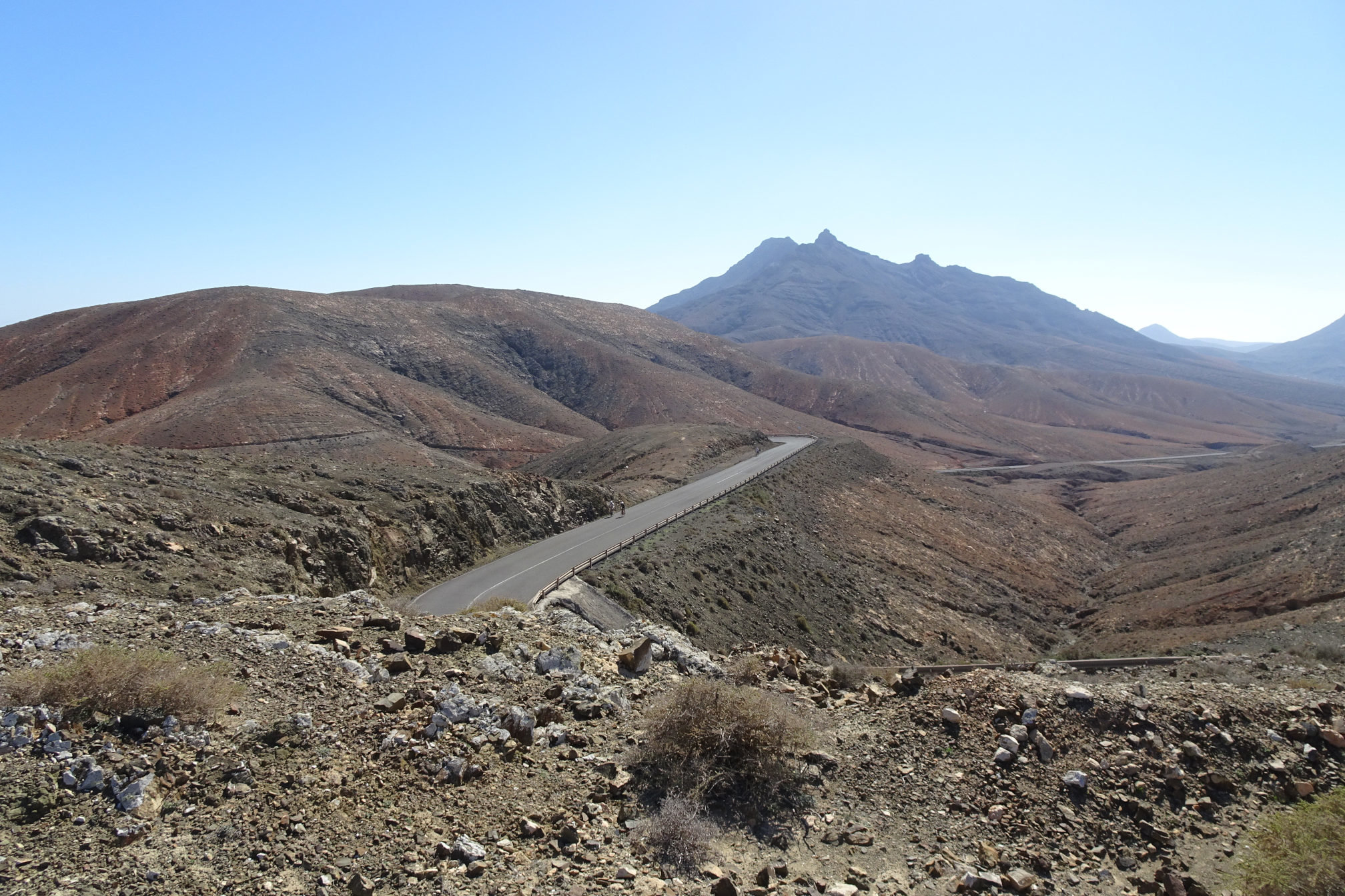 Looking Towards Montana Cardon