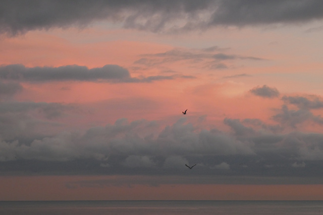 sunset from my balcony