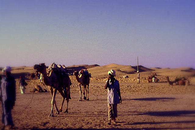 Désert du Thar Rajasthan ( Inde)