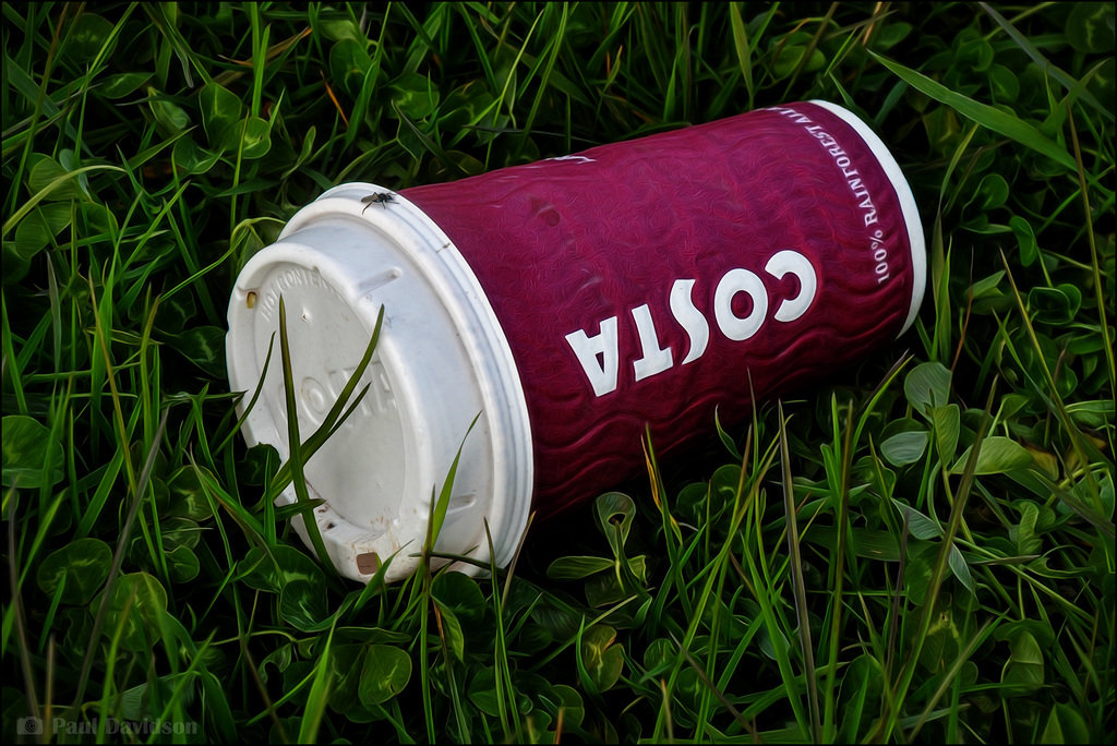 The Costa Litter ...