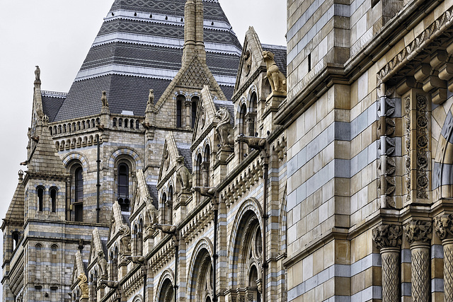 The Stone Menagerie – Natural History Museum, South Kensington, London, England