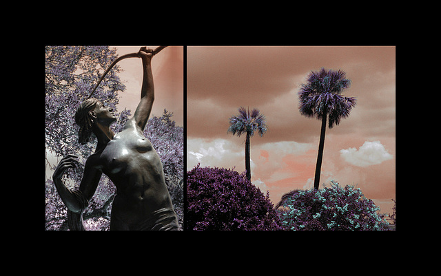 Jacksonville, FL IR Diptych