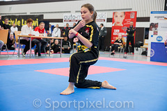 ger-open-5511 26308776661 o