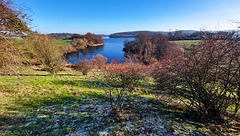 Blick auf den Ziegelsee