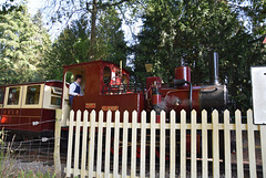 sawrlmtsep92023 (1102)