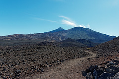 Wanderung um den Volcán de la Botija (© Buelipix)