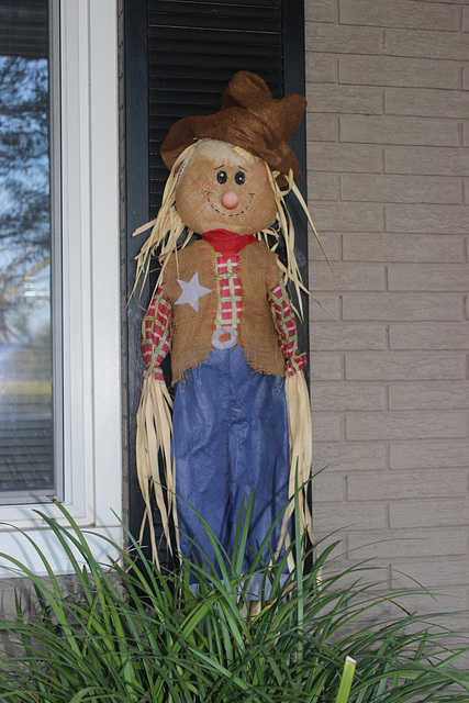 THIS GUY IS JUST "HANGING OUT " ON THE FRONT PORCH!  :))