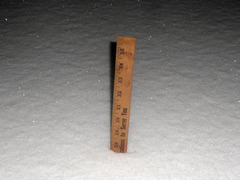 Almost 28 inches (71 cm.) now