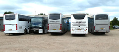 Neals Travel yard in Isleham - 26 May 2022 (P1110963)