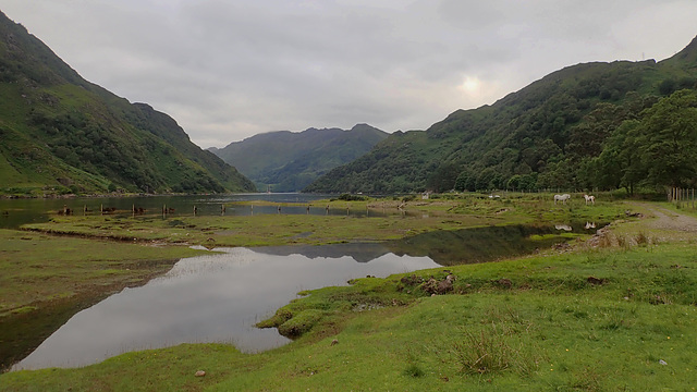 P7160554 - Loch Hourn