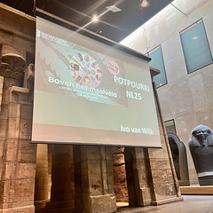 Talk in the Museum of Antiquities Talk in the Museum of Antiquities