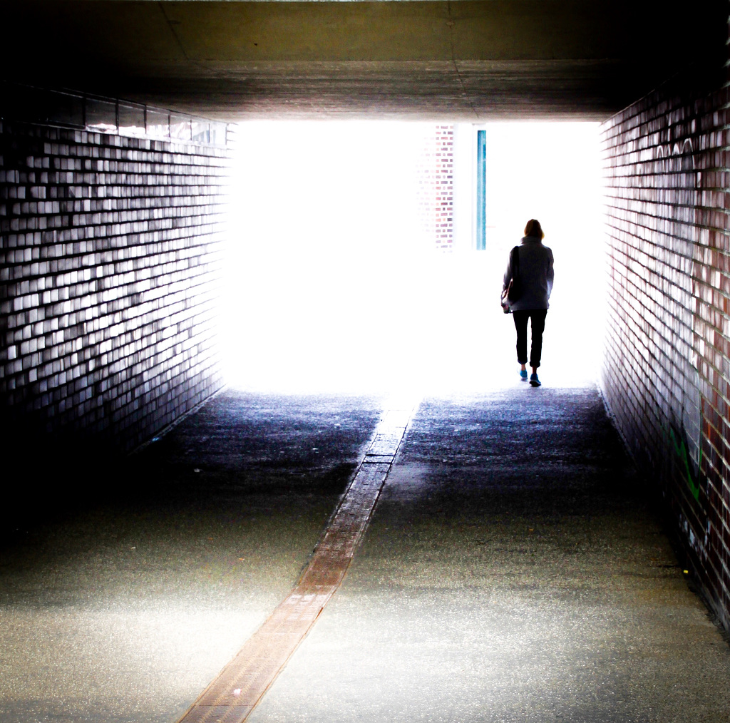 Take a Walk on the wild Side