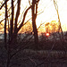 DSCF0134 Sunrise Olden Eibergen