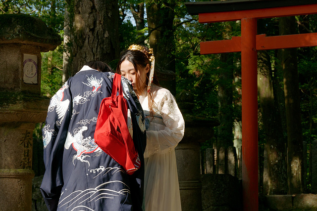 Sanctuaire Kasuga-taisha (春日大社) (17)