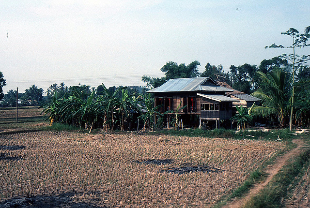 Landleben in Tahiland 1981