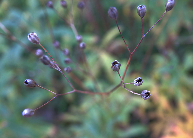 Reaching