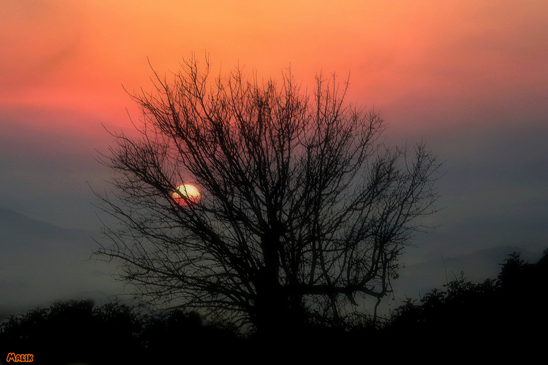 Photo de Malik.