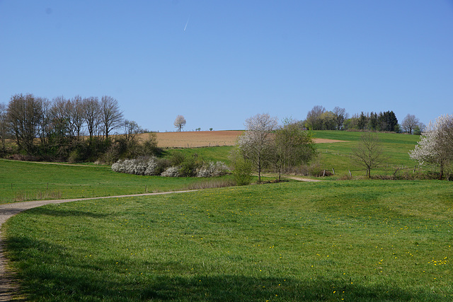 Spaziergang im April V