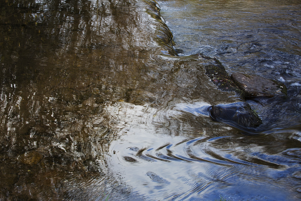 Reflecting on the Eden.